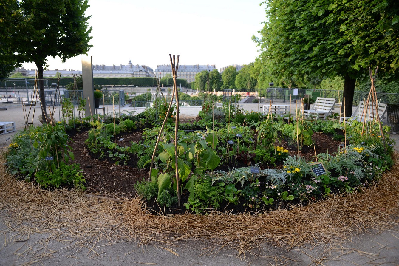 rencontre jardin des tuileries