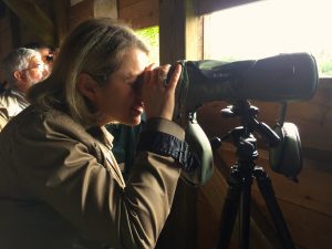 Barbara Pompili sur les pas du balbuzard dans la région en mai dernier.