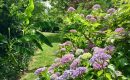 “Rendez-vous aux jardins”: mode d’emploi en région Centre-Val de Loire