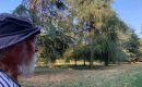 Hubert Reeves nous plante  aux pieds des arbres