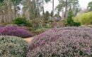 Le public déconfine à l’Arboretum des Grandes Bruyères