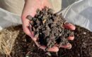 2024, compost obligatoire pour tous !