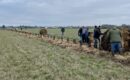 250 mètres de haie écologique plantés à Bou