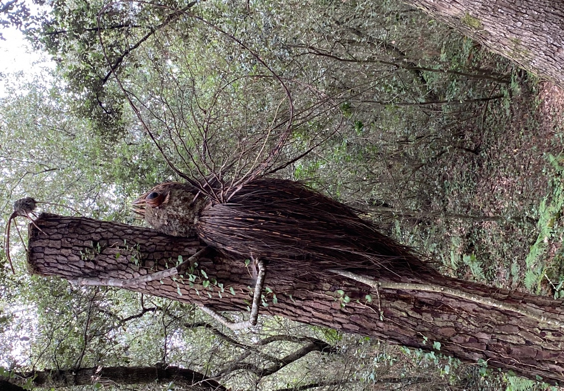 Carte postale : promenade au milieu des « insectoïdes » de l’estuaire de la Gironde