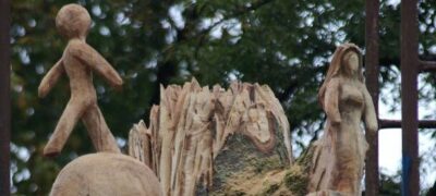 Morts, les arbres deviennent sculptures au pied de la cathédrale de Bourges