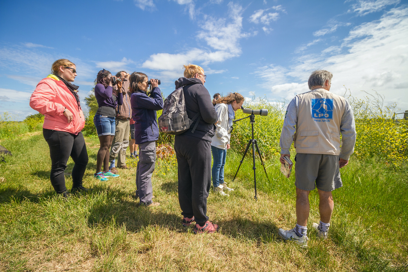 La LPO lance une première école d’ornithologie en Centre-Val de Loire