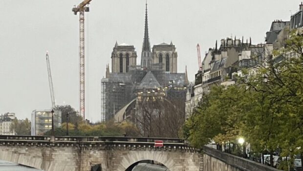 Notre-Dame de Paris 19 novembre 2024