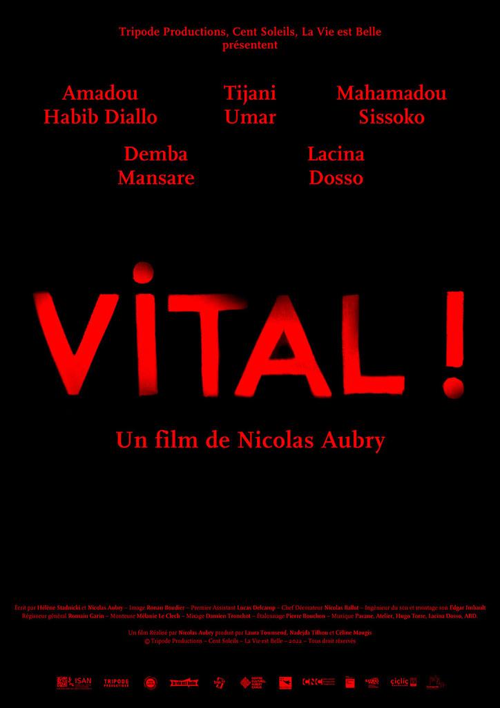 Affiche du film Vital !